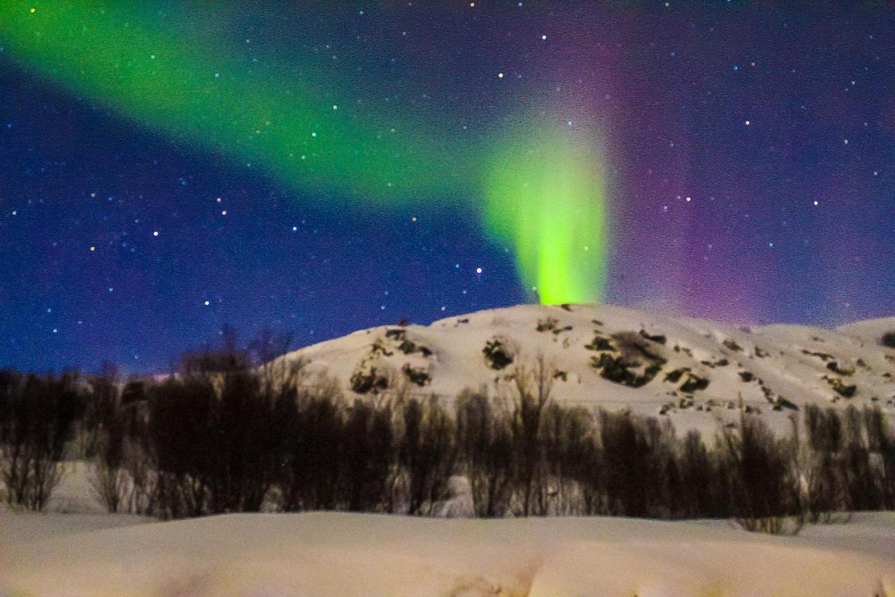 ترومسو Melishome: Aurora Observatory المظهر الخارجي الصورة